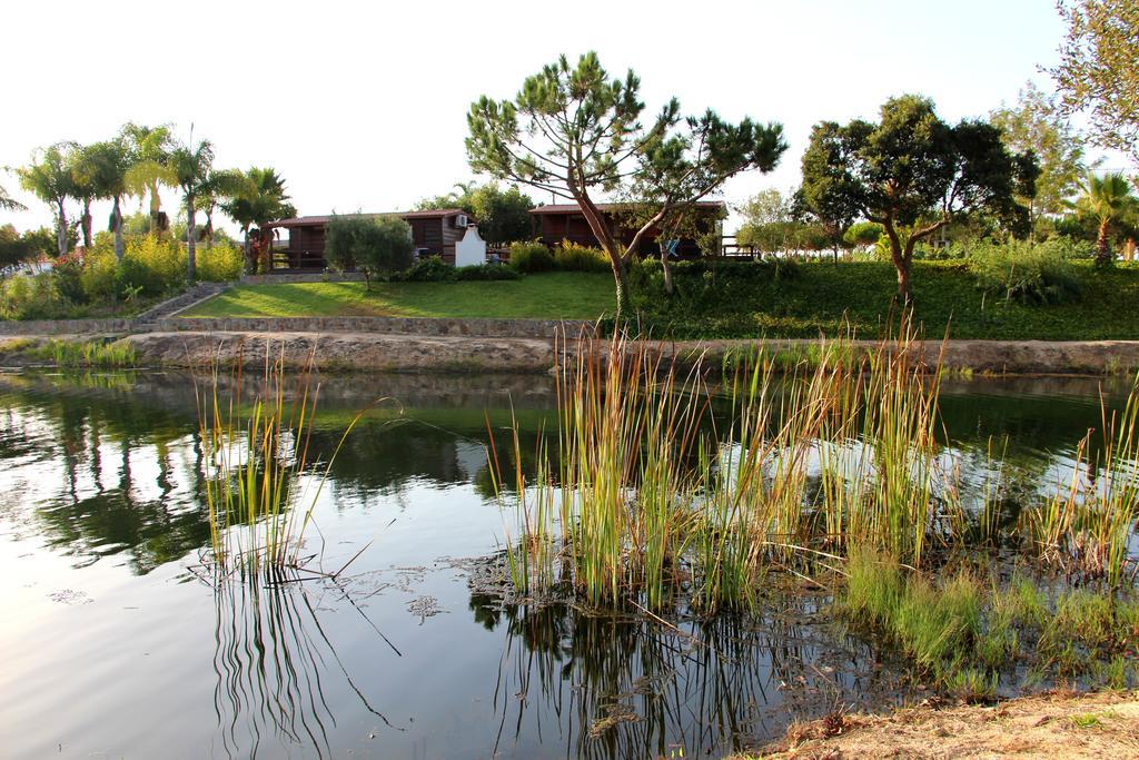 Herdade Do Sardanito Da Frente Zambujeira do Mar Buitenkant foto