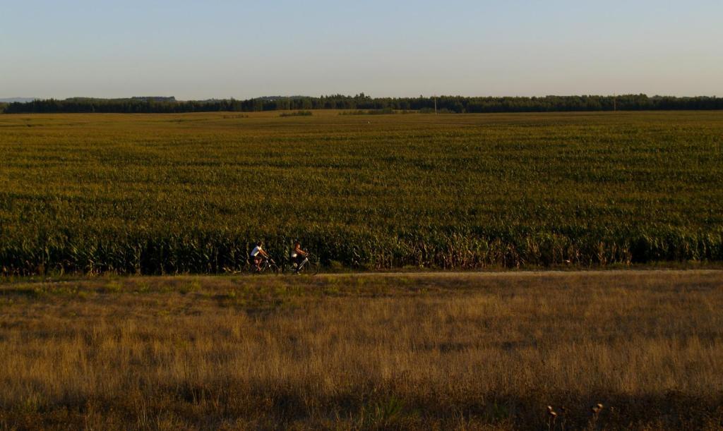 Herdade Do Sardanito Da Frente Zambujeira do Mar Buitenkant foto